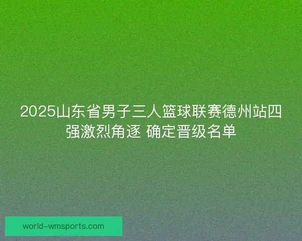 2025山东省男子三人篮球联赛德州站四强激烈角逐 确定晋级名单